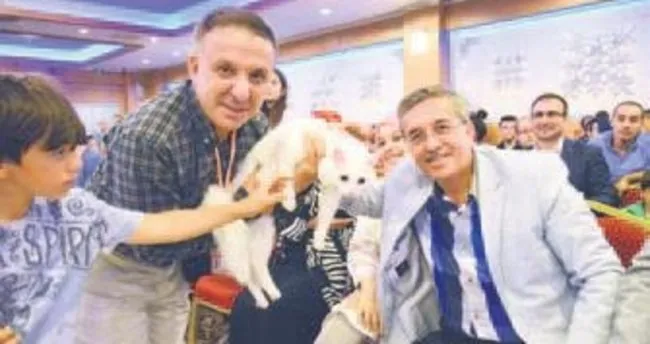 Ankara Kedisi Güzellik Yarışması tescillendi