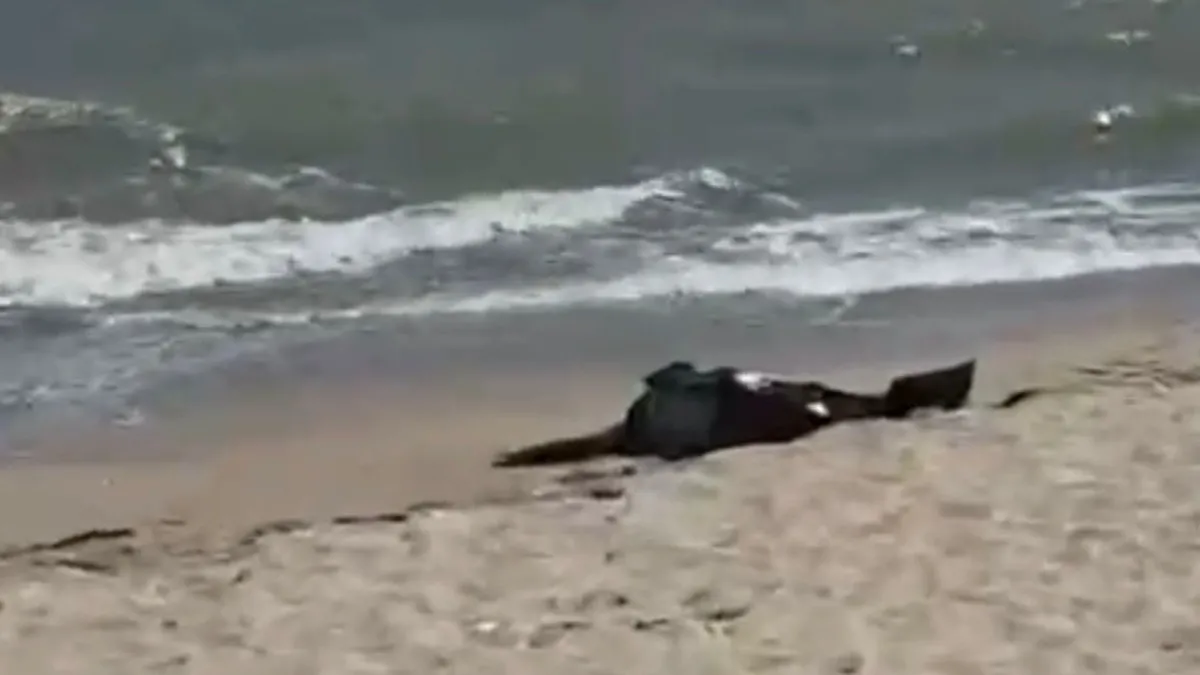 Karaburun Sahilde ceset bulundu