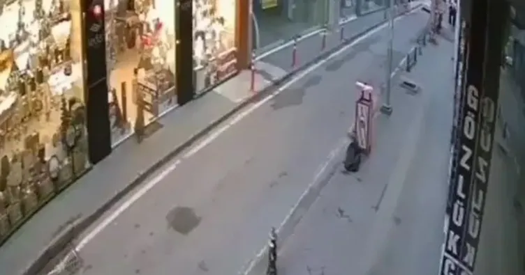 Şaşkın tilki caddelerde