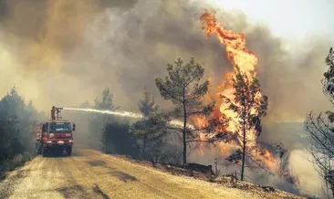 Felaket simsarları işbaşında!