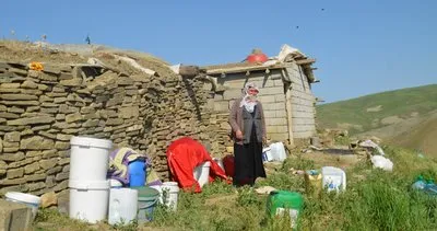 Muş'ta köylülerin 'yayla mesaisi' başladı #mus