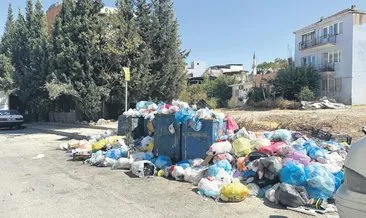 SON DAKİKA | CHP'li belediye çöp sorununu çözemedi! Bakanlık halk sağlığı için devreye girdi #izmir