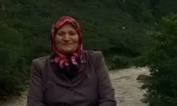 Fındık bahçesinde acı son!