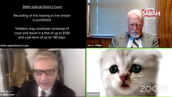 ABD'de online duruşmaya katılan avukat, kendisinin kedi olmadığına inandırmaya çalıştı | Video