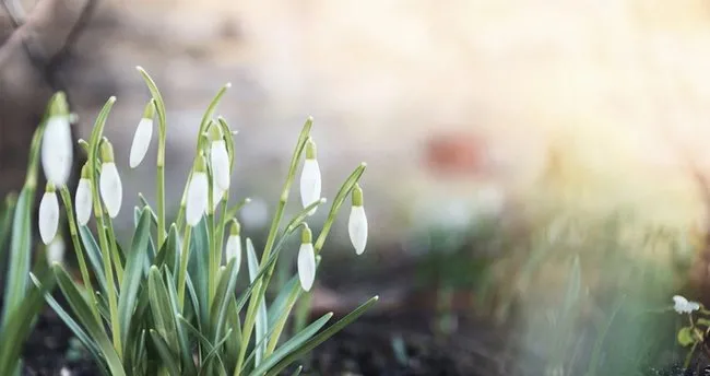 ilk cemre dustu mu ikinci ve ucuncu