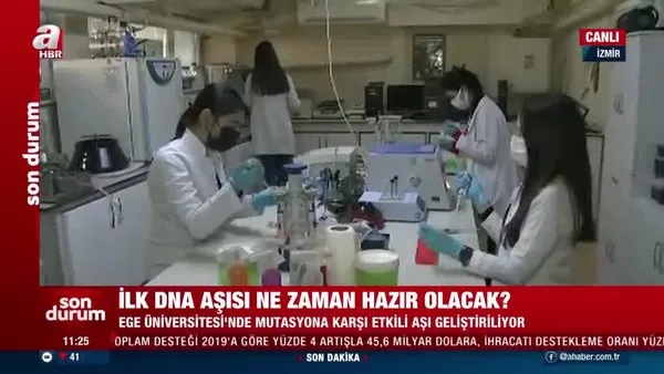 SON DAKİKA: Türkiye'nin ilk yerli kornavirüs DNA aşısı ne zaman kullanılmaya başlayacak? | Video