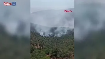 Konya'da orman yangını! | Video
