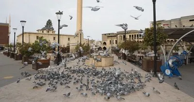 Belediye ekipleri kuşları unutmadı #gaziantep