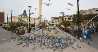 Belediye ekipleri kuşları unutmadı #gaziantep Belediye ekipleri kuşları unutmadı #gaziantep