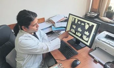 Fosil sayesinde yeni tür keşfedildi