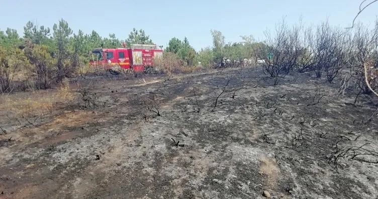 Son dakika haberi: Zonguldak Ereğli’deki orman yangını kontrol altına alındı