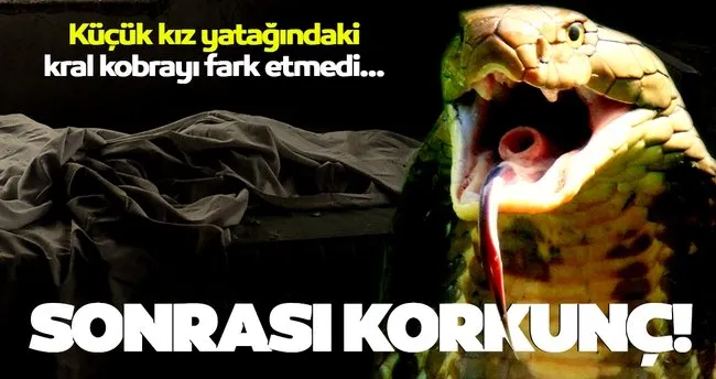 kucuk kiz yatagindaki kral