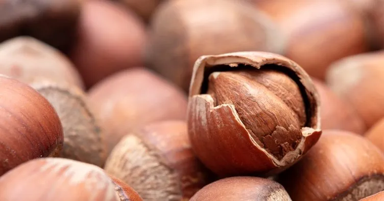 hamilelikte gunde 10 findik yenirse ne olur cocuk haberleri