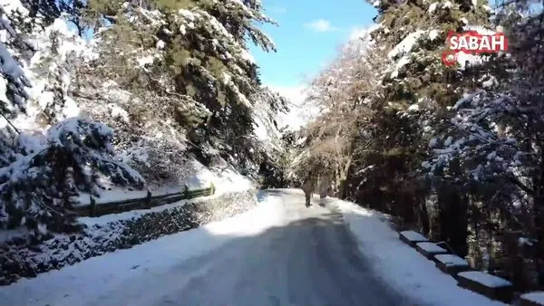 Türkiye’nin ilk milli parkında kar manzarası görsel şölen oluşturdu | Video