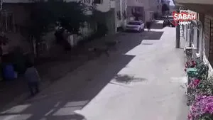 Bursa’da 3 sokak köpeği çocuklara böyle saldırdı | Video