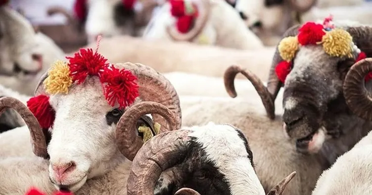 Kurban Bayramı ne zaman, ayın kaçına denk geliyor, bayrama kaç gün kaldı? Kurban Bayramı tatili 9 güne uzatıldı mı, kaç gün olacak?