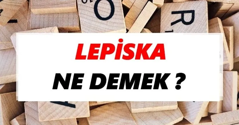 lepiska ne demek tdk ya gore lepiska sozluk anlami nedir tdk anlami haberleri