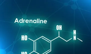 Adrenalin Hormonu Nasıl Düşürülür? Adrenalin Hormonu Yüksekliği Belirtileri ve Tedavi Yöntemleri Nelerdir?
