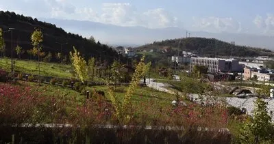 Düzce Üniversitesi’ne ait süs ve tıbbi bitkiler botanik bahçesi, sonbahar renklerine büründü