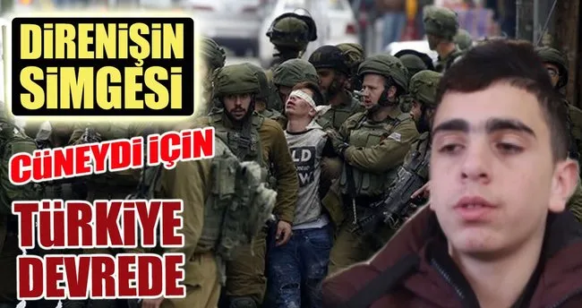 direnisin simgesi icin turkiye devrede