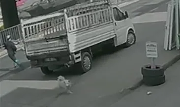 Köpekten kaçarken otobüs çarptı #trabzon