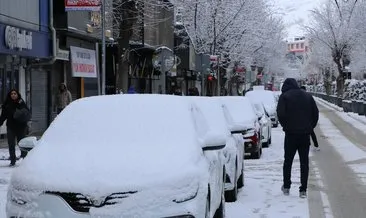 Van’da yoğun kar yağışı: 152 yerleşim yerinin yolu kapandı