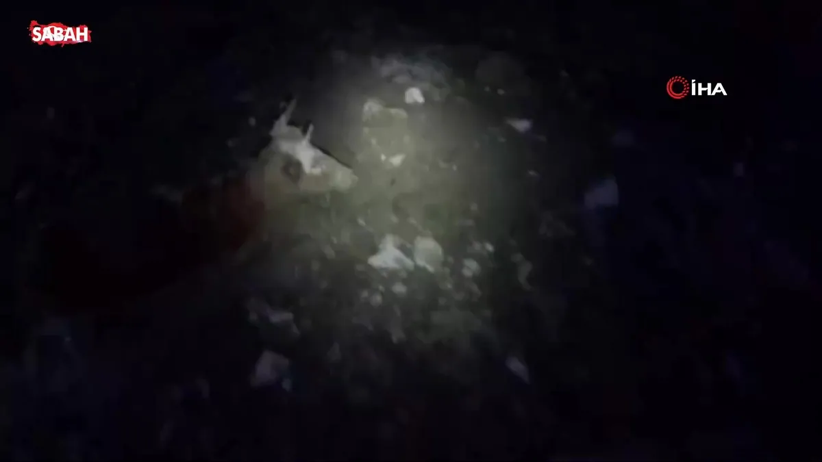 Yalova’da bataklıkta mahsur kalan vatandaş ve büyükbaş hayvanı kurtarıldı | Video