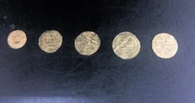 3 milyon dolarlık 5 sikke yakalandı