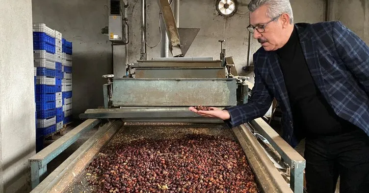 Gümüşhane Kuşburnu Nektarı tescillendi