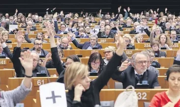 Avrupa darbecinin yanında