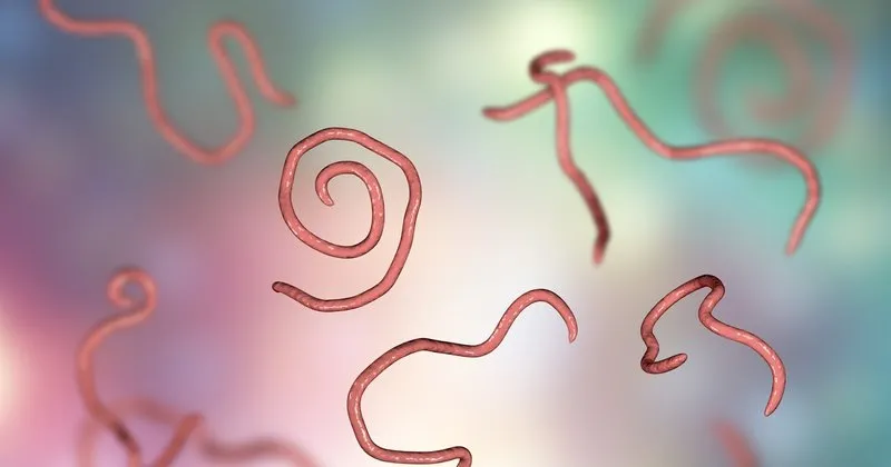 Bagirsak Hastaliklari Nelerdir Hangi Bolum Bakar Bagirsak Hastaliklari Belirtileri Ve Tedavi Yontemleri Son Dakika Haberler