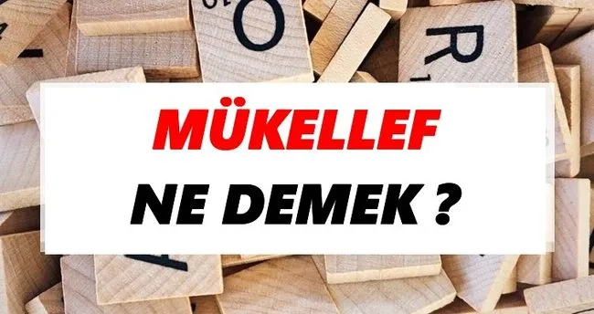 Mükellef Ne Demek? TDK’ya Göre Mükellef Sözlük Anlamı Nedir?