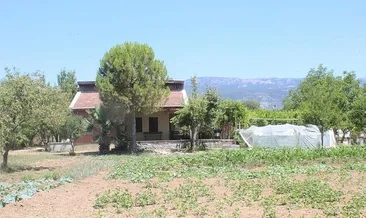 Vicdanları sızlatan gerekçe