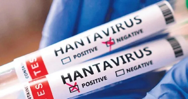 Dünyada hantavirüs alarmı!