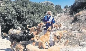 Haytap’tan iş insanlarına çağrı