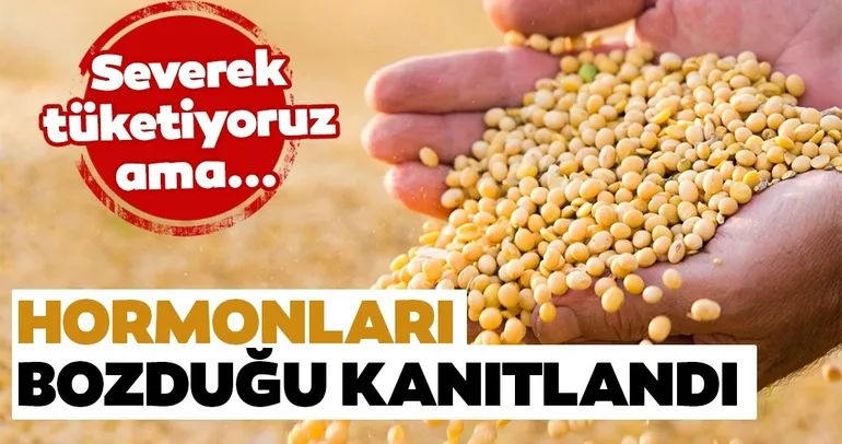 Severek tükettiğimiz bu besinin hormonları bozduğu ortaya çıktı