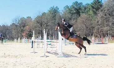 Binicilikte heyecan başlıyor