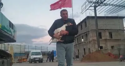 Yolda bulup aracına aldığı kaz ile diyaloğu gülümsetti #elazig Yolda bulup aracına aldığı kaz ile diyaloğu gülümsetti #elazig