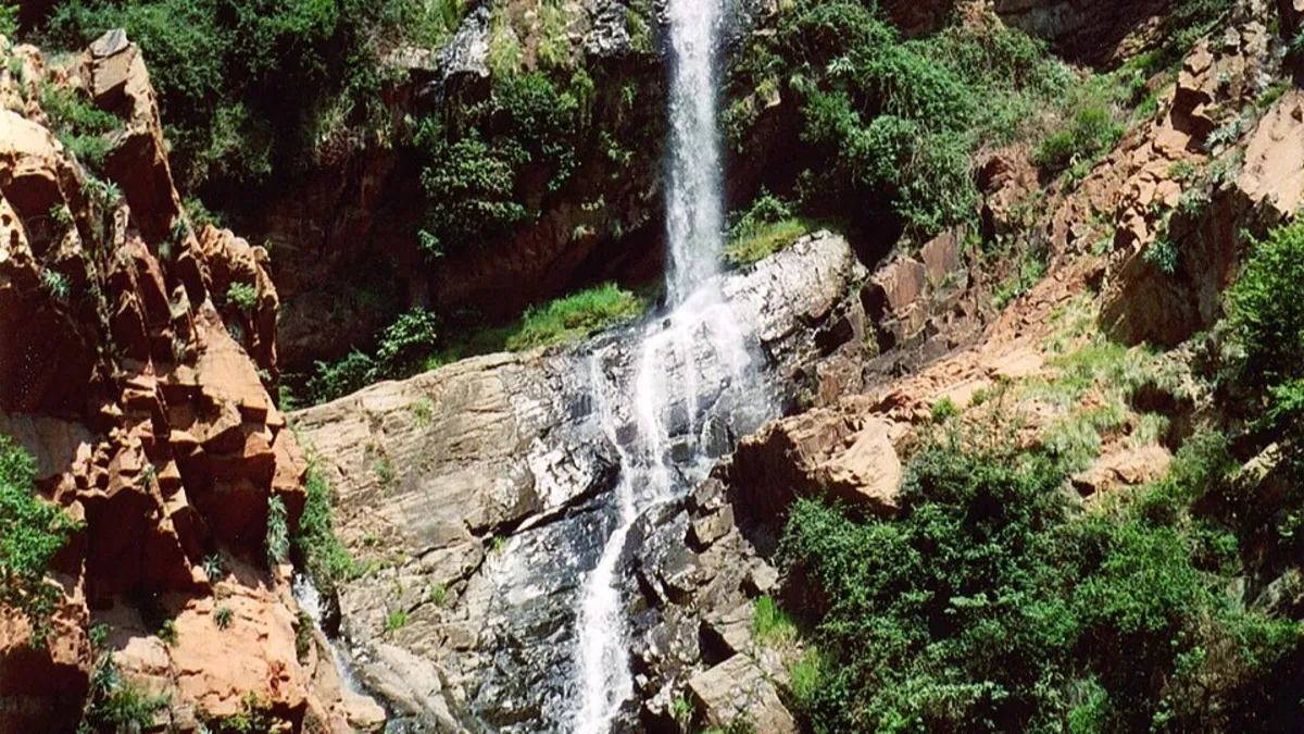 Sıradan bir taş sanmıştı "altın denizini" keşfetti! Dünyanın en büyük altın rezervi buradaymış: "Bitmek bilmiyor" - Galeri - Trend Yaşam