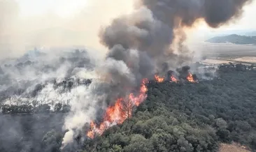 Alevlere karşı seferberlik ruhu