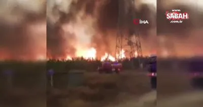 Fransa’daki orman yangını 7 bin 400 hektar alanı küle çevirdi | Video