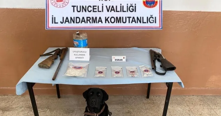 Tunceli’de uyuşturucu operasyonu! 11 kişi gözaltına alındı