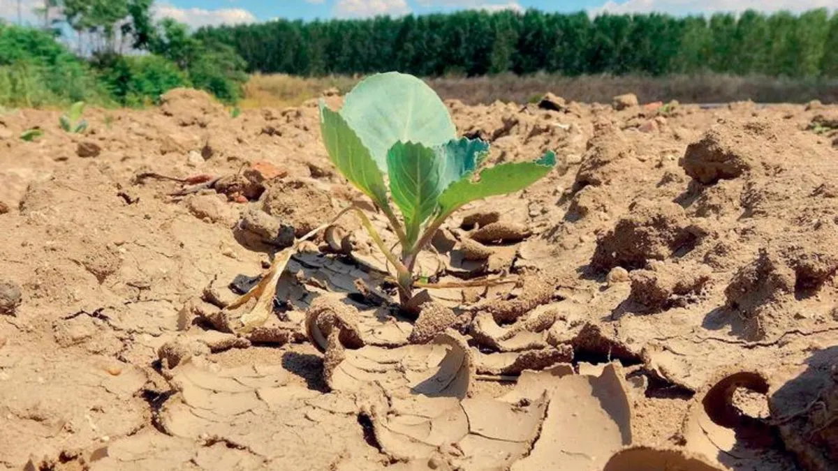 Sıfır Atık Vakfı’ndan Çölleşme ve Kuraklıkla Mücadele Uyarısı