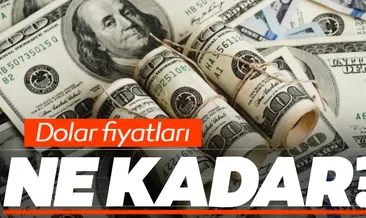 Dolar fiyatları son dakika haberi: 9 Ocak 2020 Perşembe dolar ve euro fiyatları bugün ne kadar, kaç TL oldu? İşte ayrıntılar