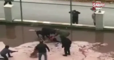 Pitbull saldırısında yaralanan Asiye haftaya taburcu oluyor | Video