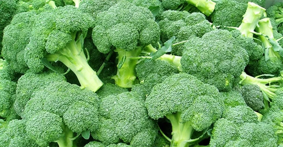 brokolonin faydalari nelerdir brokoli nasil tuketilmeli suyunun faydalari nelerdir saglik haberleri