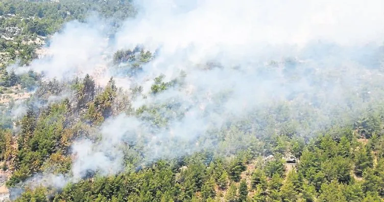 Orman yangınlarına karşı duyarlılık önemli