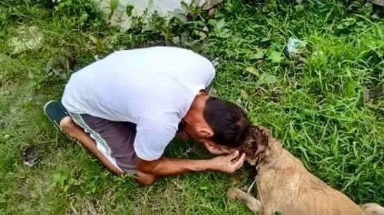 Kafası parçalanmış köpeği iyileştiren adam rekor kırıyor