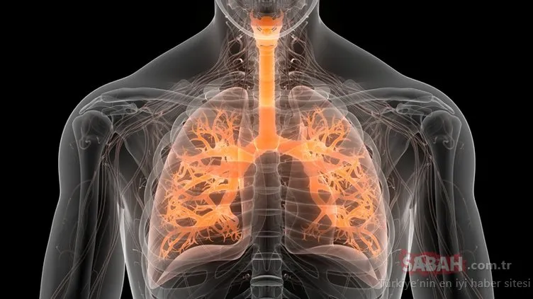 Bu belirti akciğerinizin sönmeye başladığını gösteriyor! Hemen bu testi yapın!