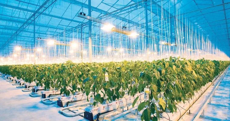 Avrupa’da şimdi de gıda krizi!